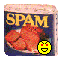 SPAM